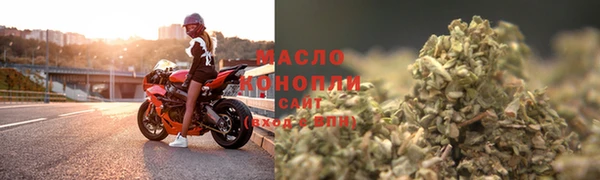 индика Балабаново