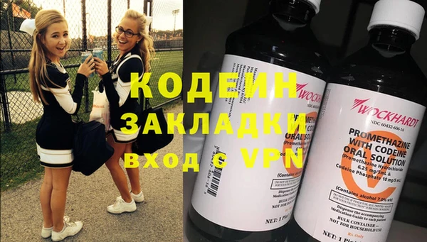 индика Балабаново