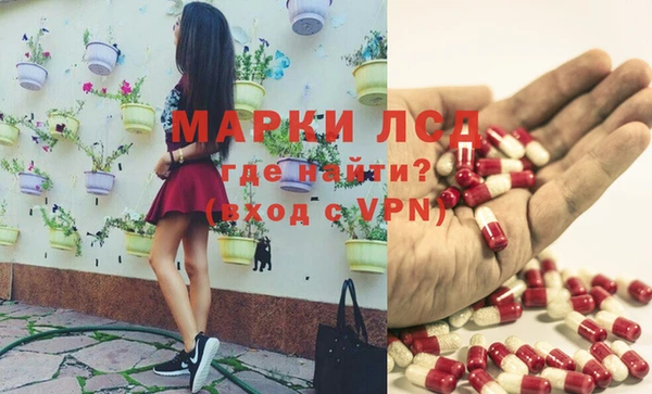 индика Балабаново