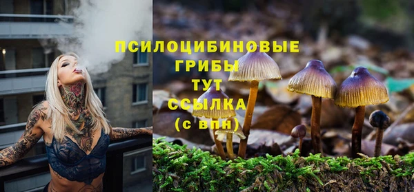 индика Балабаново