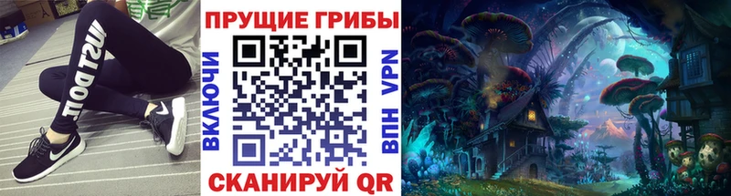 Галлюциногенные грибы Psilocybine cubensis  Печора 