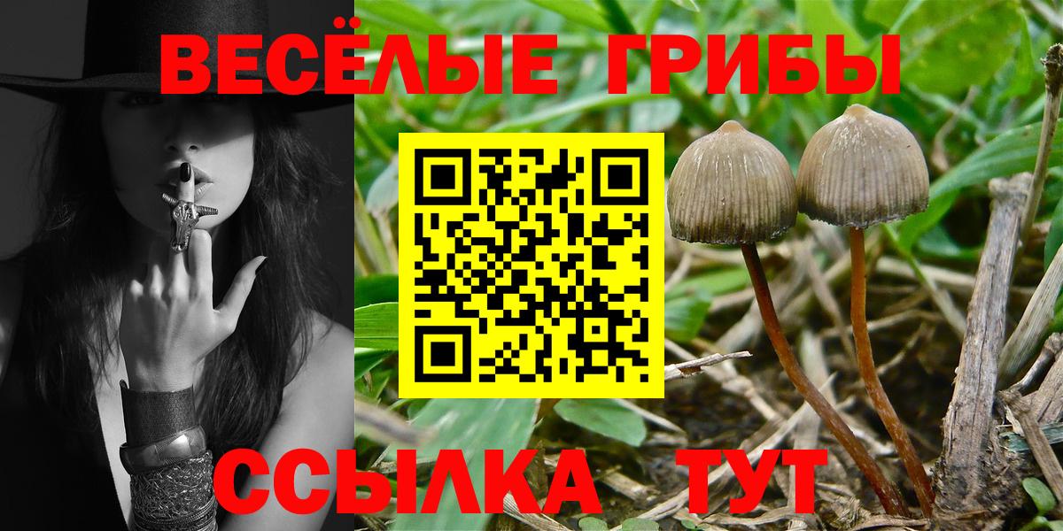 Галлюциногенные грибы MAGIC MUSHROOMS Печора